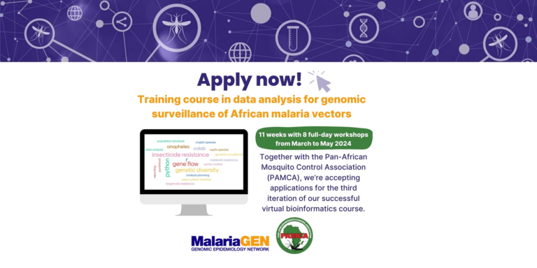 Vector course 2024